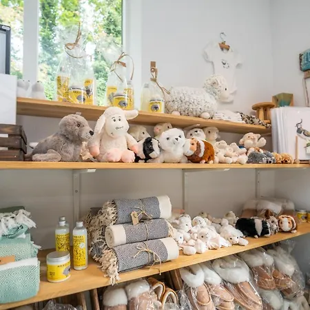 Nieuw Leven Texel מלון